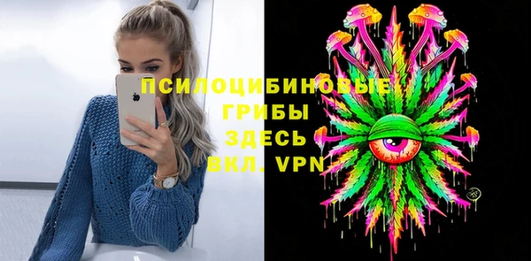соль ск Абаза