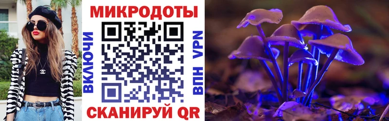Псилоцибиновые грибы Psilocybine cubensis  наркота  кракен зеркало  Иваново 