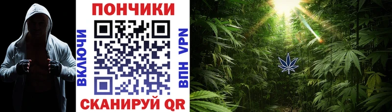 Бошки Шишки марихуана  Иваново 